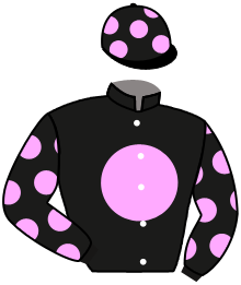 casaque portée par Legras G. jockey du cheval de course TAVULLIA, information pmu ZETURF