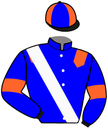 casaque portée par Besnier H. jockey du cheval de course KING PATH, information pmu ZETURF casaque portée par Besnier H. jockey du cheval de course KING PATH, information pmu ZETURF