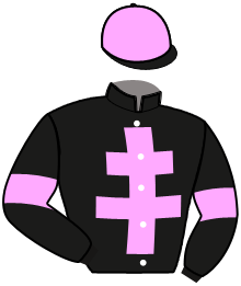 casaque portée par Mottier M. jockey du cheval de course LOGICAL CASTELETS, information pmu ZETURF casaque portée par Mottier M. jockey du cheval de course LOGICAL CASTELETS, information pmu ZETURF
