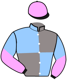 casaque portée par Bouteiller C. jockey du cheval de course KARTA KING, information pmu ZETURF casaque portée par Bouteiller C. jockey du cheval de course KARTA KING, information pmu ZETURF