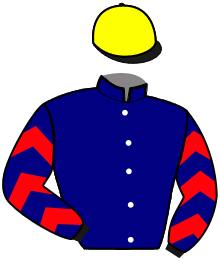 casaque portée par Cingland S. jockey du cheval de course GEOLE DE LA TOUQUE, information pmu ZETURF casaque portée par Cingland S. jockey du cheval de course GEOLE DE LA TOUQUE, information pmu ZETURF