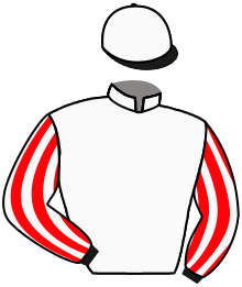 casaque portée par Sebastien Barbier jockey du cheval de course BAHIA WARANA, information pmu ZETURF casaque portée par Sebastien Barbier jockey du cheval de course BAHIA WARANA, information pmu ZETURF