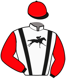 casaque portée par Massin Mlle A. jockey du cheval de course HASAPIKO, information pmu ZETURF casaque portée par Massin Mlle A. jockey du cheval de course HASAPIKO, information pmu ZETURF