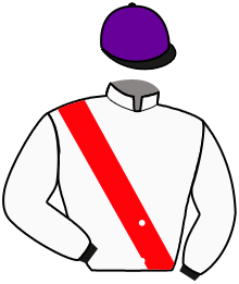casaque portée par Marie Benj. jockey du cheval de course GANZEVILLE, information pmu ZETURF casaque portée par Marie Benj. jockey du cheval de course GANZEVILLE, information pmu ZETURF