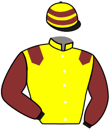 casaque portée par Valle Skar Mlle F. jockey du cheval de course SNOW GHOST, information pmu ZETURF casaque portée par Valle Skar Mlle F. jockey du cheval de course SNOW GHOST, information pmu ZETURF