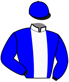 casaque portée par Abrivard M. jockey du cheval de course DESIDERIO D'ESI, information pmu ZETURF casaque portée par Abrivard M. jockey du cheval de course DESIDERIO D'ESI, information pmu ZETURF