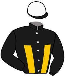 casaque portée par Gelormini G. jockey du cheval de course DEMON, information pmu ZETURF casaque portée par Gelormini G. jockey du cheval de course DEMON, information pmu ZETURF