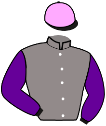 casaque portée par Lebourgeois Y. jockey du cheval de course LARGO LIGNERIES, information pmu ZETURF casaque portée par Lebourgeois Y. jockey du cheval de course LARGO LIGNERIES, information pmu ZETURF