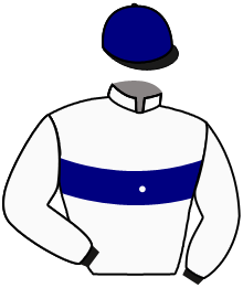 casaque portée par Lefebvre F. jockey du cheval de course QUEEN OF NIGHT, information pmu ZETURF casaque portée par Lefebvre F. jockey du cheval de course QUEEN OF NIGHT, information pmu ZETURF