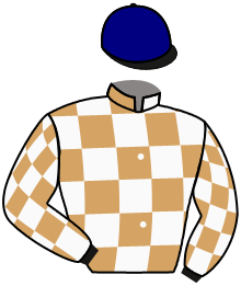 casaque portée par Crastus A. jockey du cheval de course LADY LUNE, information pmu ZETURF casaque portée par Crastus A. jockey du cheval de course LADY LUNE, information pmu ZETURF