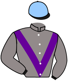 casaque portée par Mangione R. jockey du cheval de course WHISTLE AND FLUTE, information pmu ZETURF casaque portée par Mangione R. jockey du cheval de course WHISTLE AND FLUTE, information pmu ZETURF