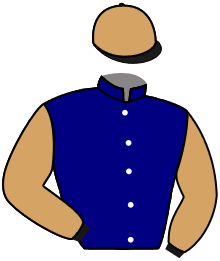 casaque portée par Lebrun J. S. jockey du cheval de course HELLO DE SIVOLA, information pmu ZETURF casaque portée par Lebrun J. S. jockey du cheval de course HELLO DE SIVOLA, information pmu ZETURF