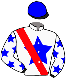 casaque portée par Riou C. jockey du cheval de course FREE LANO, information pmu ZETURF casaque portée par Riou C. jockey du cheval de course FREE LANO, information pmu ZETURF