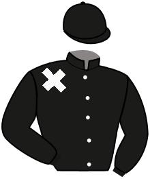 casaque portée par Lauron M. jockey du cheval de course FARIDA P (AR), information pmu ZETURF casaque portée par Lauron M. jockey du cheval de course FARIDA P (AR), information pmu ZETURF