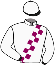 casaque portée par Mouesan H. jockey du cheval de course LACARO DU CROATE, information pmu ZETURF casaque portée par Mouesan H. jockey du cheval de course LACARO DU CROATE, information pmu ZETURF