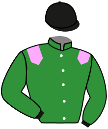 casaque portée par Zuliani L. jockey du cheval de course POMME ROSE, information pmu ZETURF casaque portée par Zuliani L. jockey du cheval de course POMME ROSE, information pmu ZETURF