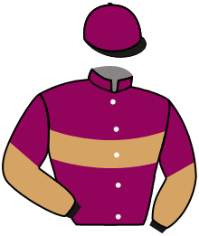casaque portée par Chevillard T. jockey du cheval de course KISSROCKROCHELAISE, information pmu ZETURF casaque portée par Chevillard T. jockey du cheval de course KISSROCKROCHELAISE, information pmu ZETURF