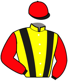 casaque portée par Brossard N. R. jockey du cheval de course KID DES PLEIGNES, information pmu ZETURF casaque portée par Brossard N. R. jockey du cheval de course KID DES PLEIGNES, information pmu ZETURF