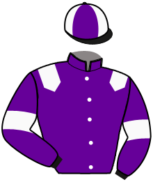 casaque portée par Barrier A. jockey du cheval de course GO GO GIGI, information pmu ZETURF casaque portée par Barrier A. jockey du cheval de course GO GO GIGI, information pmu ZETURF