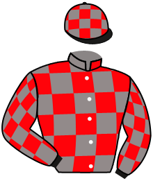 casaque portée par Brechet Léo P. jockey du cheval de course DOUBLE EFFECT, information pmu ZETURF casaque portée par Brechet Léo P. jockey du cheval de course DOUBLE EFFECT, information pmu ZETURF