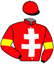 casaque portée par Ferreira N. jockey du cheval de course JOUR POLAIRE, information pmu ZETURF casaque portée par Ferreira N. jockey du cheval de course JOUR POLAIRE, information pmu ZETURF