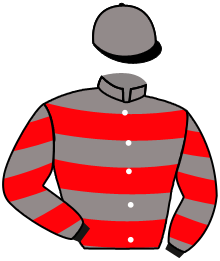 casaque portée par Roussel Leo jockey du cheval de course MORAMBO, information pmu ZETURF casaque portée par Roussel Leo jockey du cheval de course MORAMBO, information pmu ZETURF