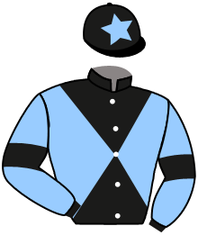 casaque portée par Raimbault C. jockey du cheval de course WAY TO THE MOON, information pmu ZETURF casaque portée par Raimbault C. jockey du cheval de course WAY TO THE MOON, information pmu ZETURF