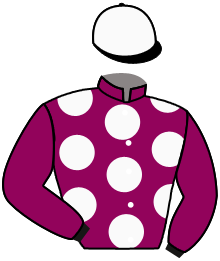 casaque portée par Boisseau L. jockey du cheval de course HOPE D'AZE, information pmu ZETURF casaque portée par Boisseau L. jockey du cheval de course HOPE D'AZE, information pmu ZETURF