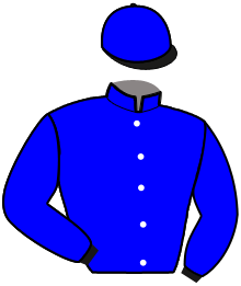 casaque portée par Thomain D. jockey du cheval de course GOLDIE HOME, information pmu ZETURF casaque portée par Thomain D. jockey du cheval de course GOLDIE HOME, information pmu ZETURF