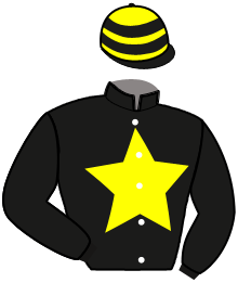 casaque portée par Lenain G. jockey du cheval de course LUZ FATALE, information pmu ZETURF casaque portée par Lenain G. jockey du cheval de course LUZ FATALE, information pmu ZETURF