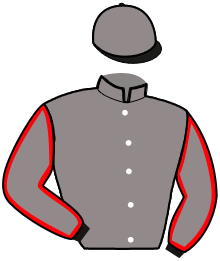 casaque portée par Bridault M. jockey du cheval de course FRINGANT PACHA, information pmu ZETURF