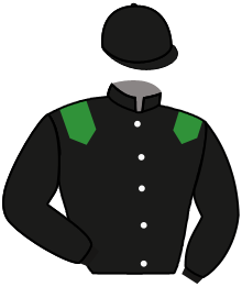 casaque portée par Ubeda D. jockey du cheval de course PAWICLO GEDE, information pmu ZETURF casaque portée par Ubeda D. jockey du cheval de course PAWICLO GEDE, information pmu ZETURF