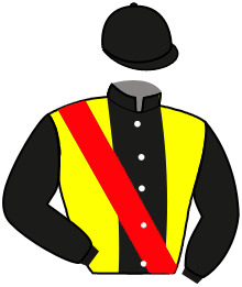 casaque portée par Kratochvil J. jockey du cheval de course PRINCE D'ORAGE, information pmu ZETURF casaque portée par Kratochvil J. jockey du cheval de course PRINCE D'ORAGE, information pmu ZETURF