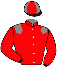 casaque portée par Poincot Chr. jockey du cheval de course RULE OF THUMB, information pmu ZETURF casaque portée par Poincot Chr. jockey du cheval de course RULE OF THUMB, information pmu ZETURF