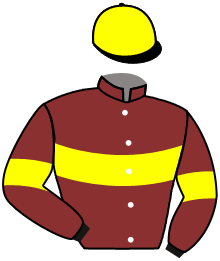 casaque portée par Nomis L. jockey du cheval de course ANGILECA, information pmu ZETURF casaque portée par Nomis L. jockey du cheval de course ANGILECA, information pmu ZETURF