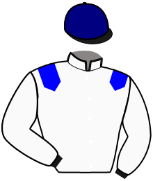 casaque portée par Lagadeuc F. jockey du cheval de course HIATUS, information pmu ZETURF