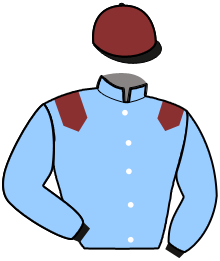 casaque portée par Rochard B. jockey du cheval de course KARNAC DU VIVIER, information pmu ZETURF