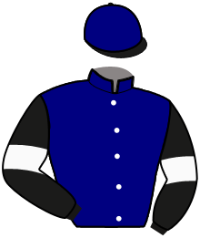 casaque portée par Delanoe L. jockey du cheval de course IVINDO DU BOCAGE, information pmu ZETURF