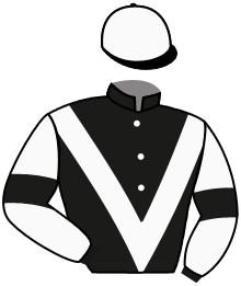 casaque portée par Lefebvre Mr C. jockey du cheval de course GRAND CLERMONT, information pmu ZETURF casaque portée par Lefebvre Mr C. jockey du cheval de course GRAND CLERMONT, information pmu ZETURF