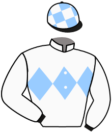 casaque portée par Foulon M. jockey du cheval de course KEY TO SUCCESS, information pmu ZETURF