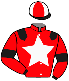 casaque portée par Yvon M. jockey du cheval de course LOUXOR BEGONIA, information pmu ZETURF