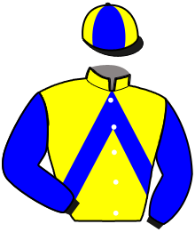 casaque portée par Clozier F. jockey du cheval de course ICLO, information pmu ZETURF