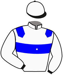 casaque portée par Mottier M. jockey du cheval de course DOLCE VIKY, information pmu ZETURF