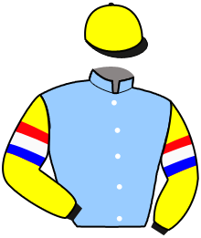 casaque portée par Gelormini G. jockey du cheval de course L.A.BOKO, information pmu ZETURF casaque portée par Gelormini G. jockey du cheval de course L.A.BOKO, information pmu ZETURF