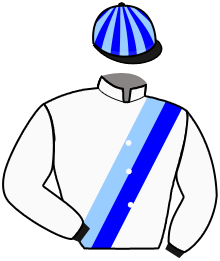 casaque portée par Pezzatini R. jockey du cheval de course CITY LUX, information pmu ZETURF casaque portée par Pezzatini R. jockey du cheval de course CITY LUX, information pmu ZETURF