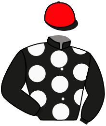 casaque portée par Werder Pab. jockey du cheval de course IDENTIFIED, information pmu ZETURF casaque portée par Werder Pab. jockey du cheval de course IDENTIFIED, information pmu ZETURF