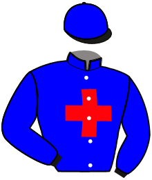 casaque portée par Martens C. jockey du cheval de course LIVINIO FLAC, information pmu ZETURF