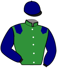 casaque portée par Laisis D. jockey du cheval de course LOAIME JIJI, information pmu ZETURF
