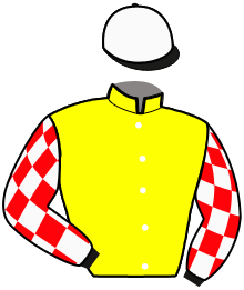 casaque portée par Clozier F. jockey du cheval de course KELYO DU SOLNAN, information pmu ZETURF casaque portée par Clozier F. jockey du cheval de course KELYO DU SOLNAN, information pmu ZETURF