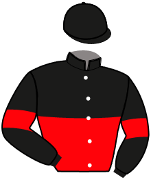 casaque portée par Treich Mlle S. jockey du cheval de course HELTER SKELTER, information pmu ZETURF